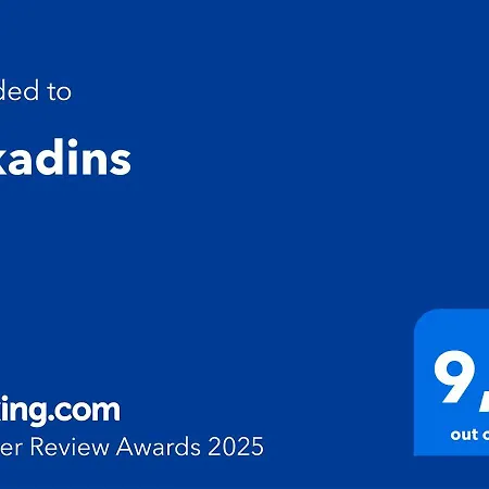 Arkadins דירה *